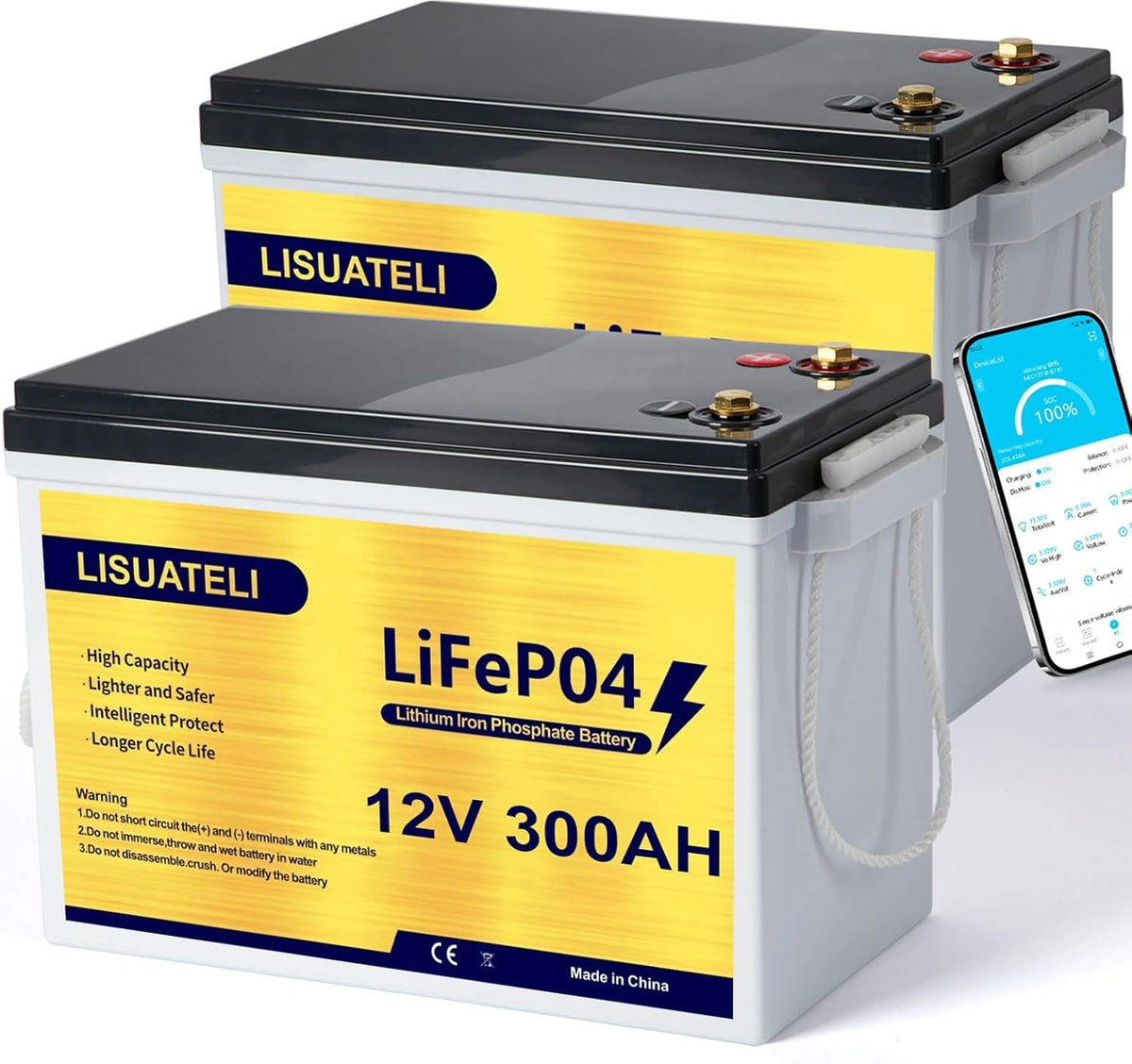 Akumulator LiFePO4, 300 Ah, 3840 Wh, 12 V, kolor szary i ?¨®?ty